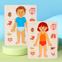 Kids Body Structure Cognition Wooden Puzzle Toy
