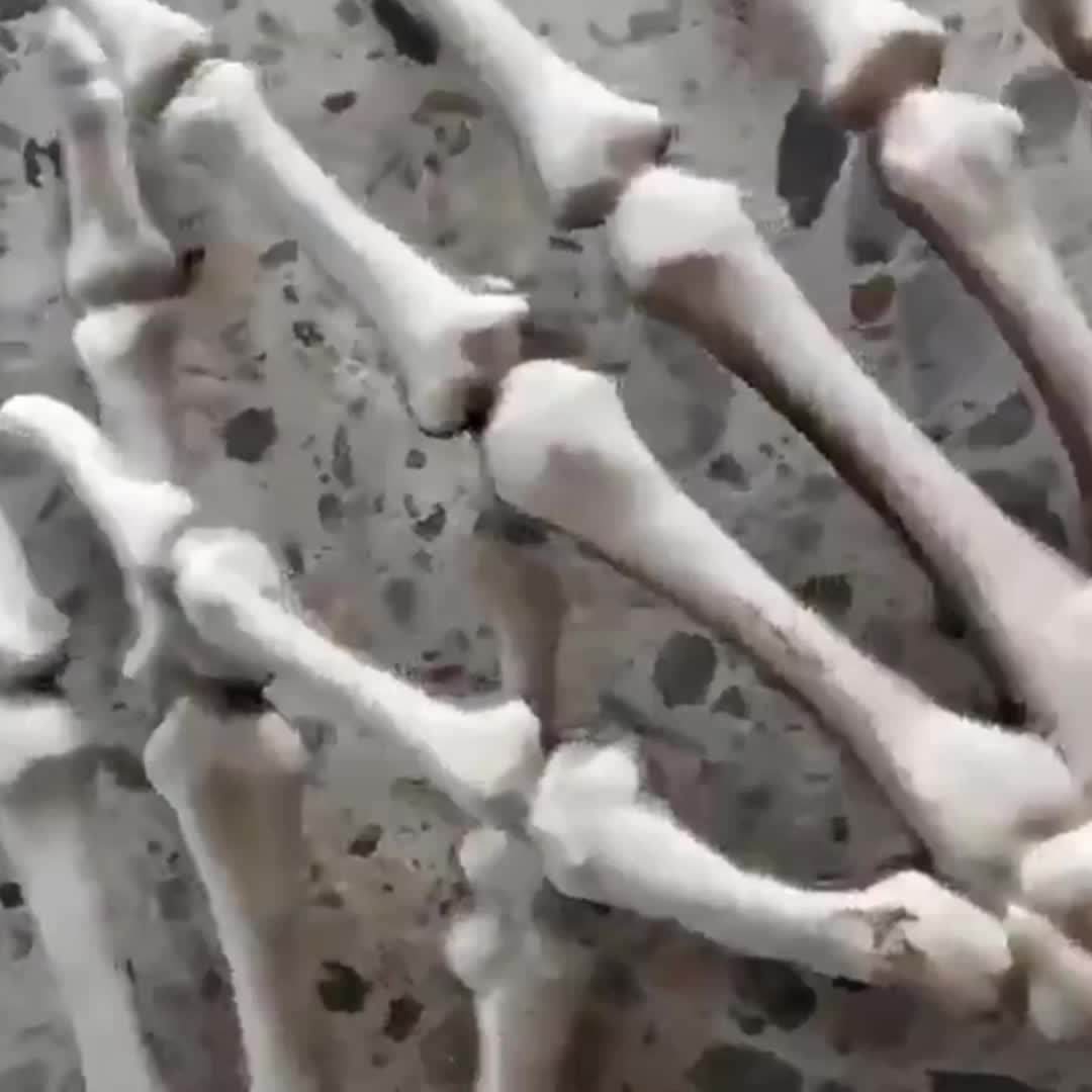 2pcs Halloween Skull Hand Claw Ornament