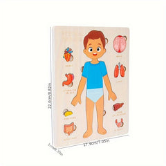 Kids Body Structure Cognition Wooden Puzzle Toy