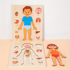 Kids Body Structure Cognition Wooden Puzzle Toy