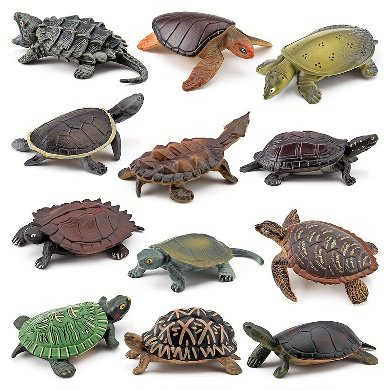 12pcs PVC Realistic Turtle & Tortoise Educational Toy Figures Gift