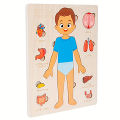 Kids Body Structure Cognition Wooden Puzzle Toy