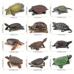 12pcs PVC Realistic Turtle & Tortoise Educational Toy Figures Gift