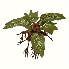 Magical Mandrake Plushie 11 Inch Soft Dwarf Monster Toy