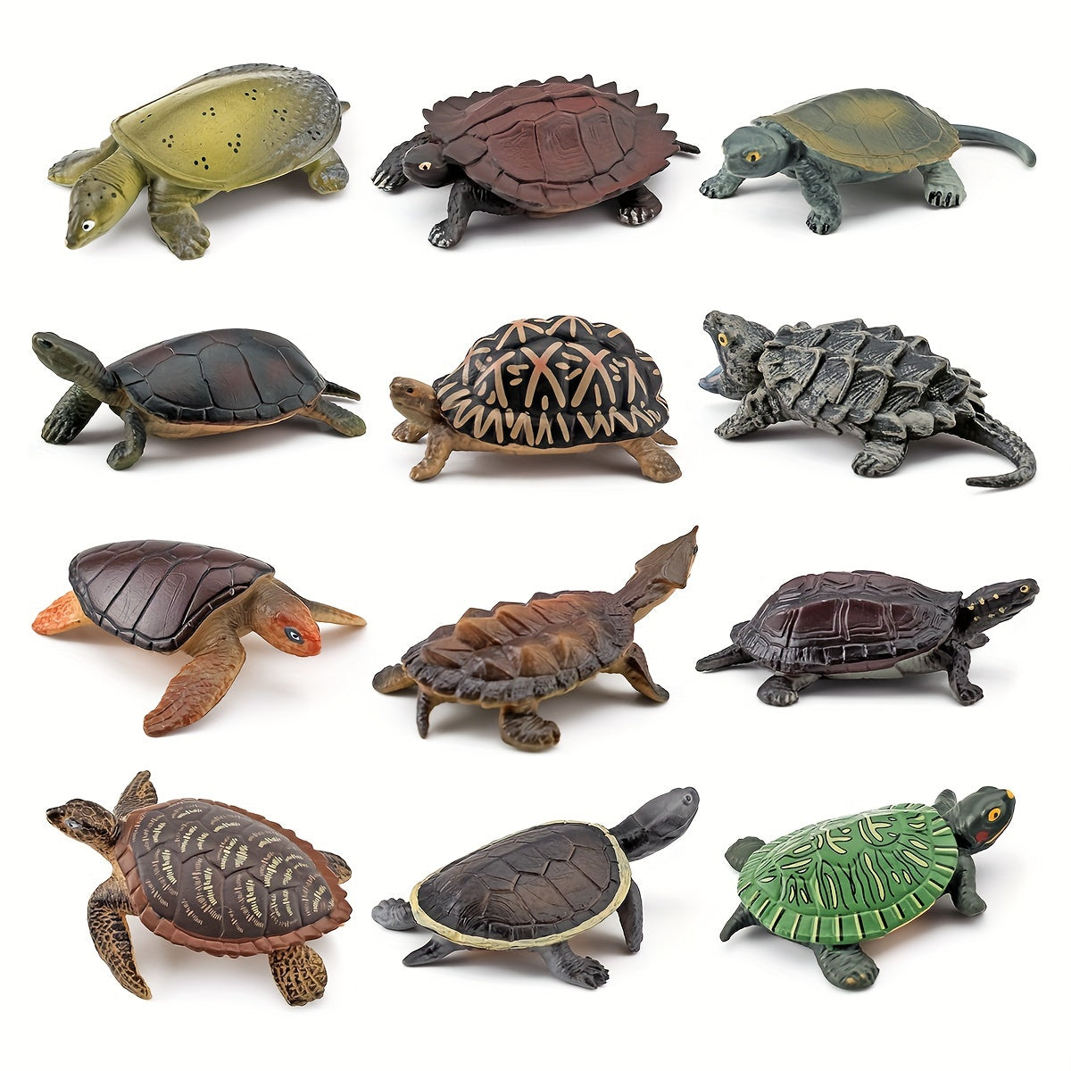 12pcs PVC Realistic Turtle & Tortoise Educational Toy Figures Gift