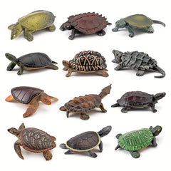 12pcs PVC Realistic Turtle & Tortoise Educational Toy Figures Gift