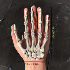 2pcs Halloween Skull Hand Claw Ornament