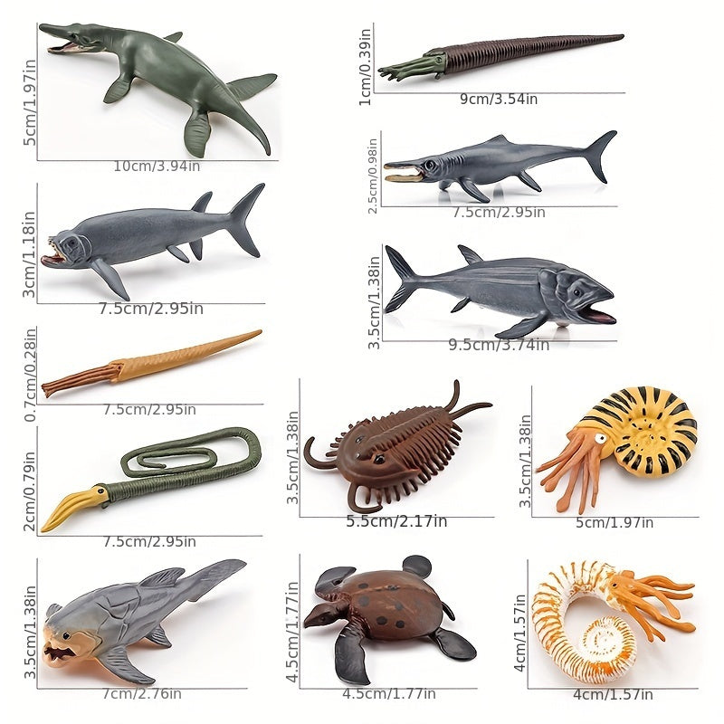 Prehistoric Ammonite Sea Turtle Leeds Fish Taeman Fish Dragon Mar