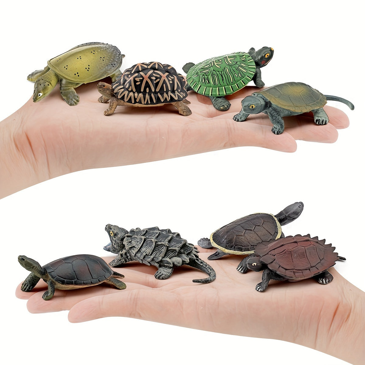 12pcs PVC Realistic Turtle & Tortoise Educational Toy Figures Gift