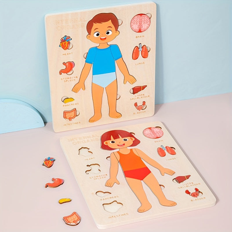 Kids Body Structure Cognition Wooden Puzzle Toy