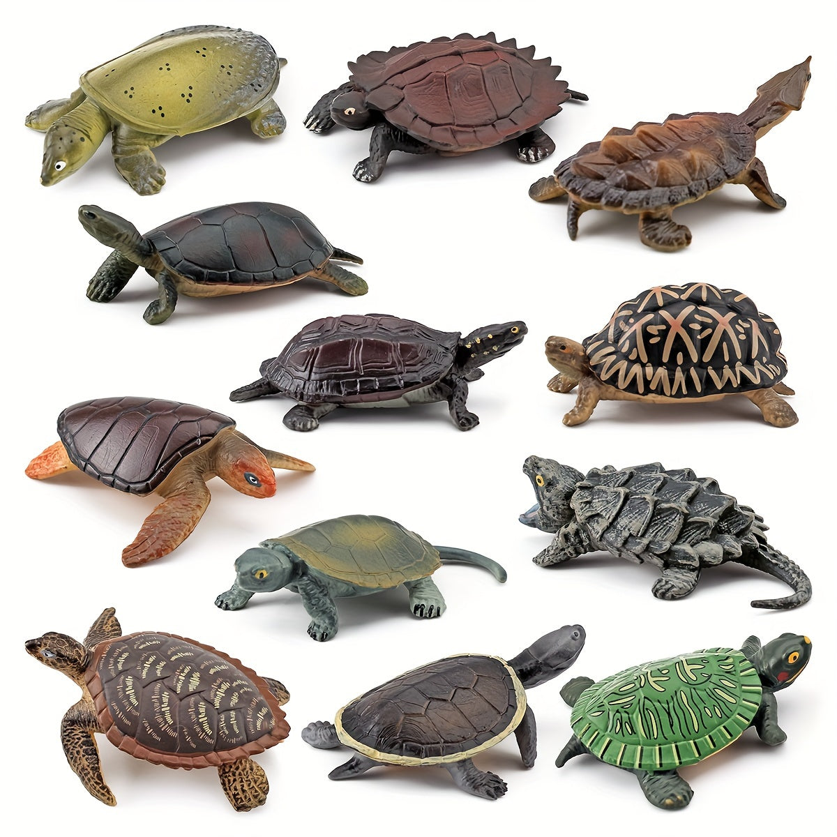 12pcs PVC Realistic Turtle & Tortoise Educational Toy Figures Gift