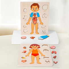 Kids Body Structure Cognition Wooden Puzzle Toy