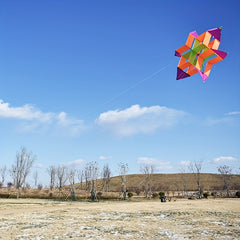 3D Lotus Kite Colorful Easy Fly for Beach & Park Fun