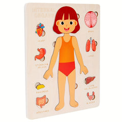 Kids Body Structure Cognition Wooden Puzzle Toy