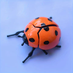 Wind Up Ladybug Moving Wings Insect Playmate Ideal Birthday Present