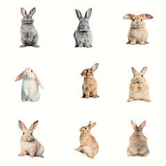 Easter Bunny Pillowcase Soft & Durable Cover