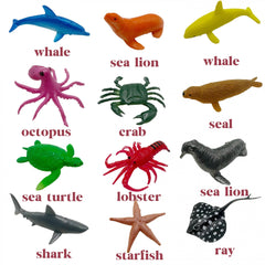 12pcs Sea Animal Toys Mini Marine Life Doll Realistic Ocean Figures Gift