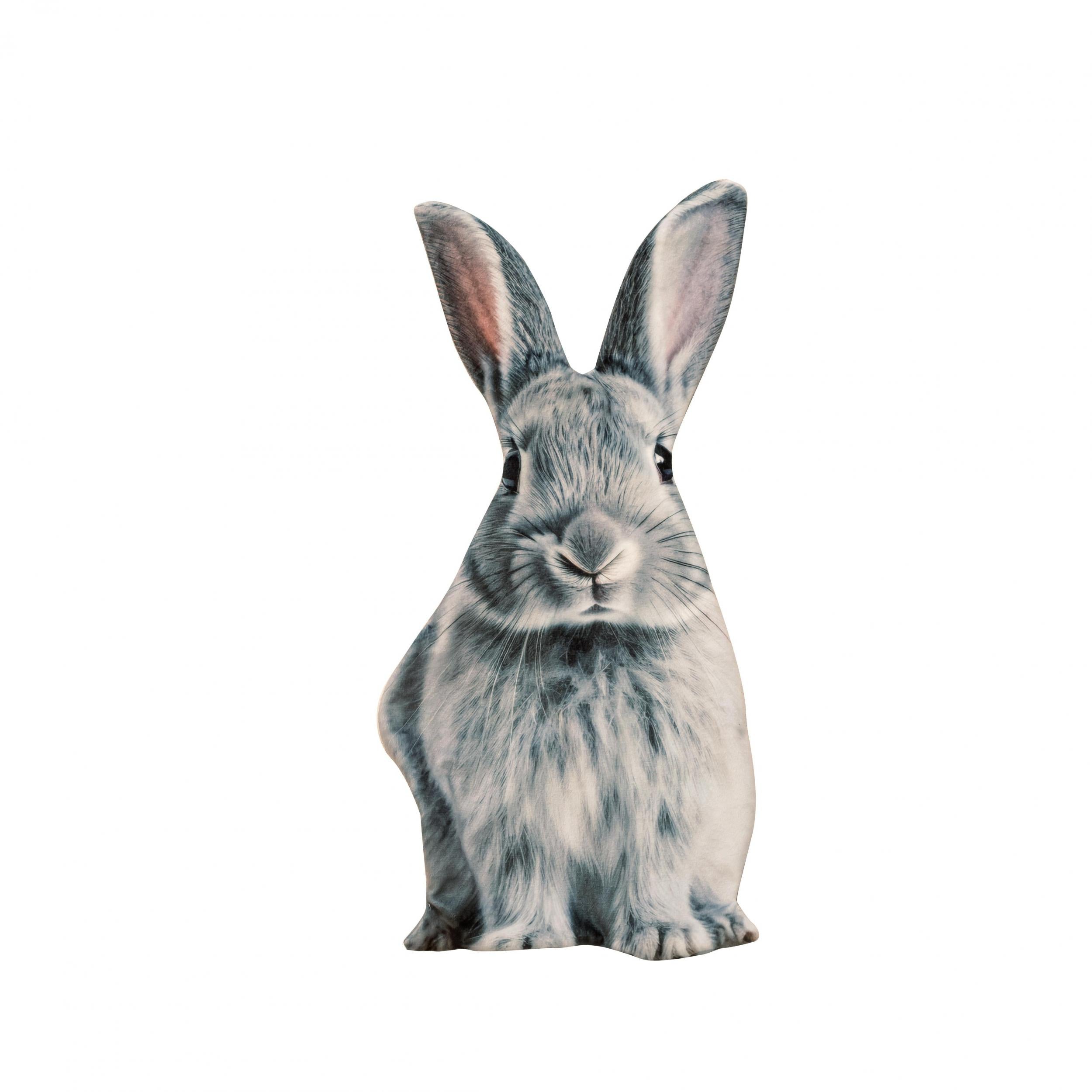 Easter Bunny Pillowcase Soft & Durable Cover