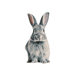 Easter Bunny Pillowcase Soft & Durable Cover