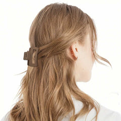 4Pcs Small Hair Clips For Women Matte Strong Hold Claw Clips