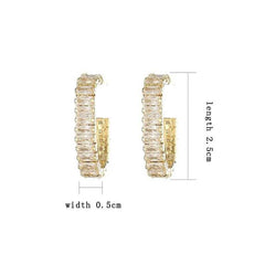 Women's Gold Plated Round Stud Casual Earring With Zirconia